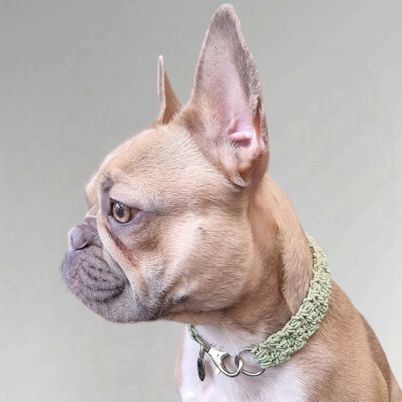 LivalaPip™ - Necklace Knotted - Pastel mint