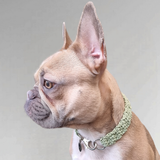 LivalaPip™ - Necklace Knotted - Pastel mint
