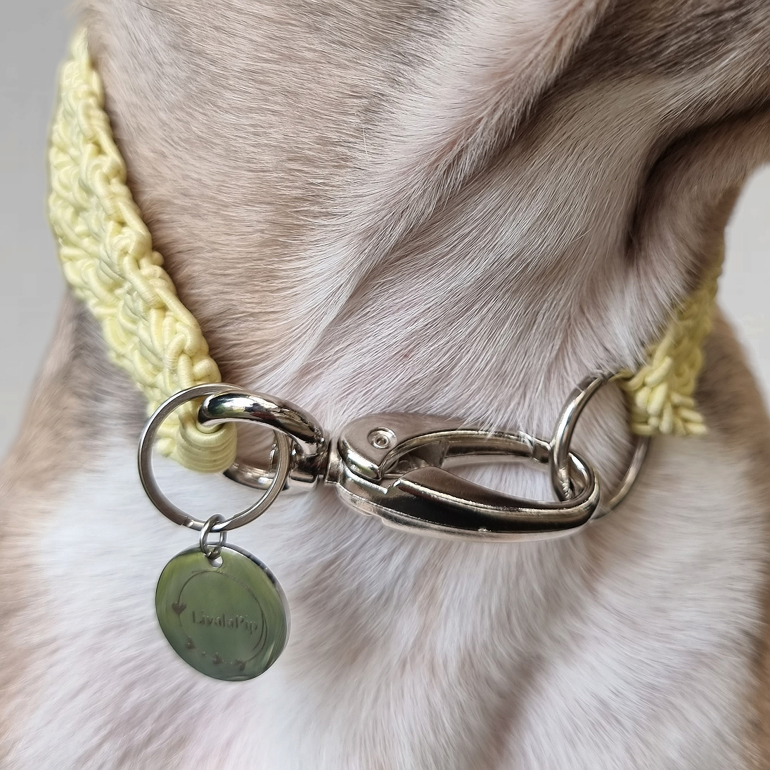 LivalaPip™ - Knotted Necklace - Pastel Yellow