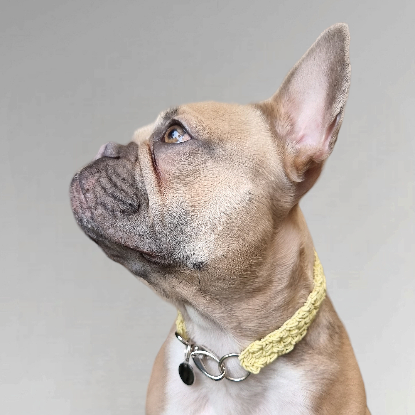 LivalaPip™ - Knotted Necklace - Pastel Yellow