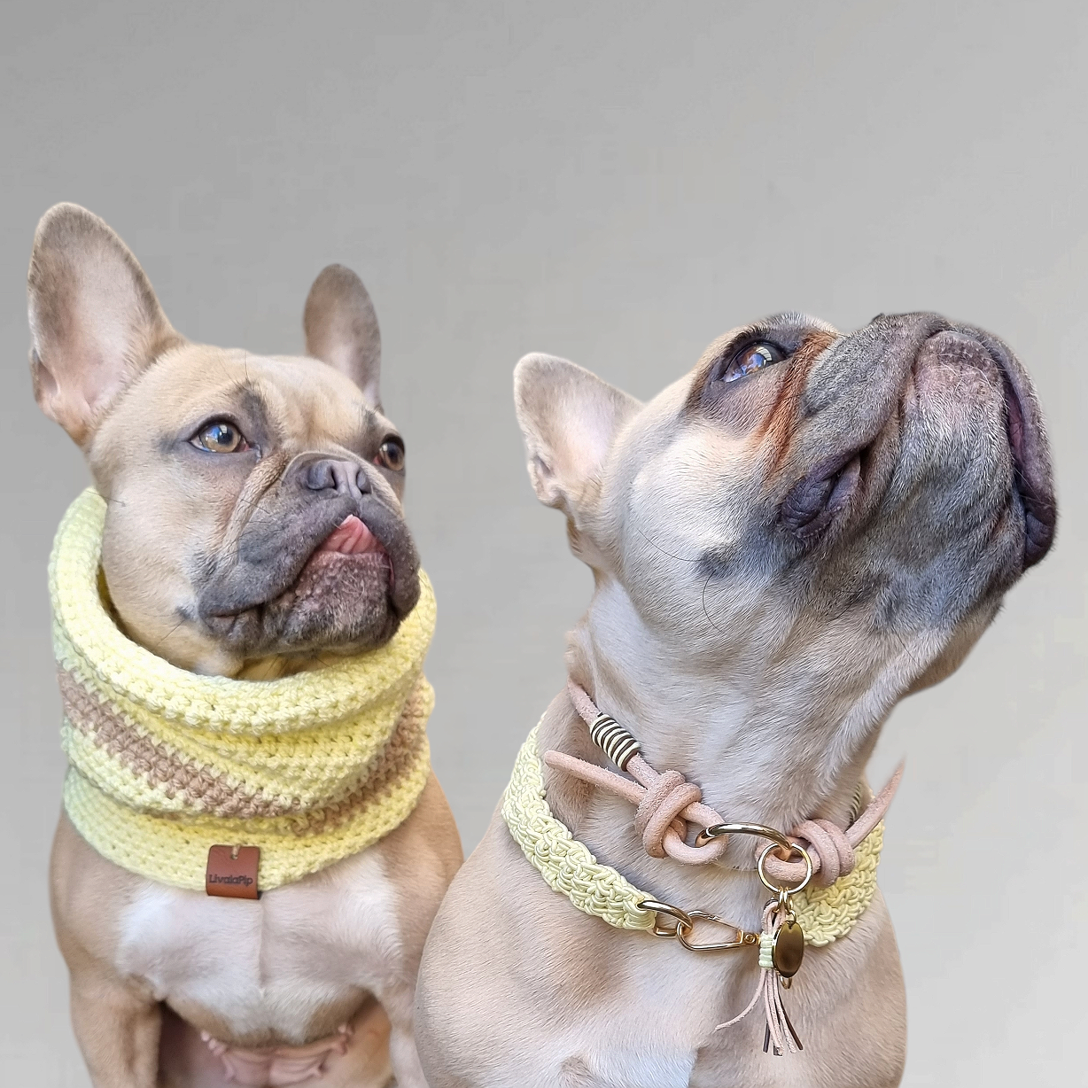 LivalaPip™ - Leather Necklace - Pastel Yellow