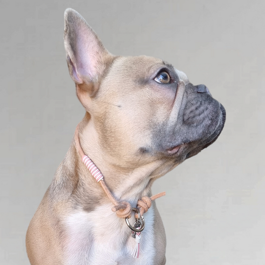LivalaPip™ - Necklace Leather - Pastel pink/White