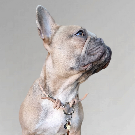 LivalaPip™ - Leather Necklace - Pastel Yellow