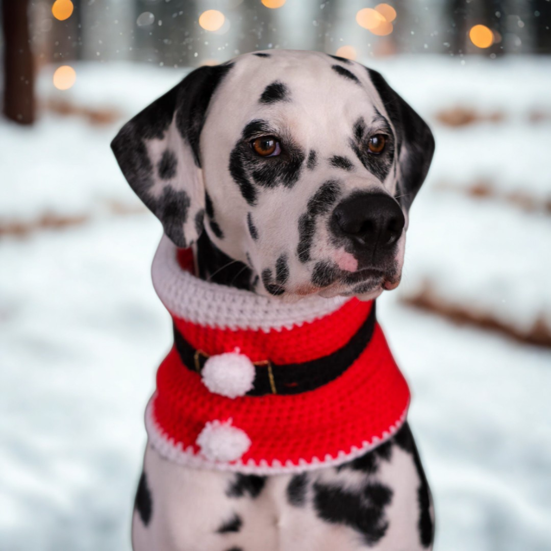 LivalaPip™ - Col sjaal Kerst - Santa