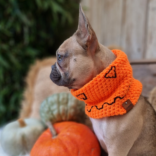 LivalaPip™ - Turtleneck scarf - Halloween