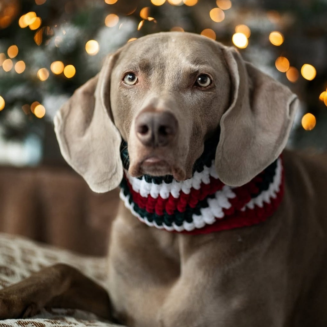 LivalaPip™ - Col sjaal Kerst - Jolly Jingle