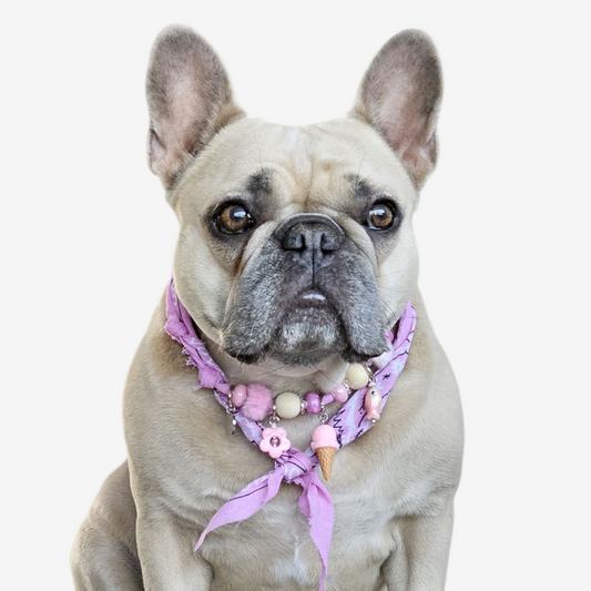 LivalaPip™ - Bandana Ketting - Ibiza Pastel Pink