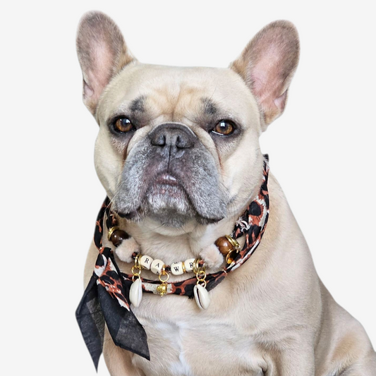 LivalaPip™ - Bandana Ketting - Ibiza Leopard