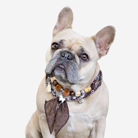 LivalaPip™ - Bandana Ketting - Ibiza Brown