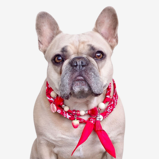 LivalaPip™ - Bandana Ketting - Ibiza Strawberrry Red