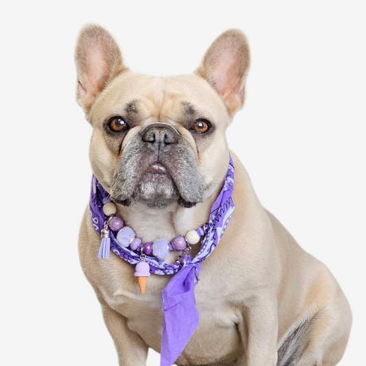 LivalaPip™ - Bandana Ketting - Ibiza Purple