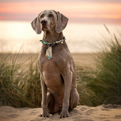 LivalaPip™ - Bandana Ketting - Golden Turquoise
