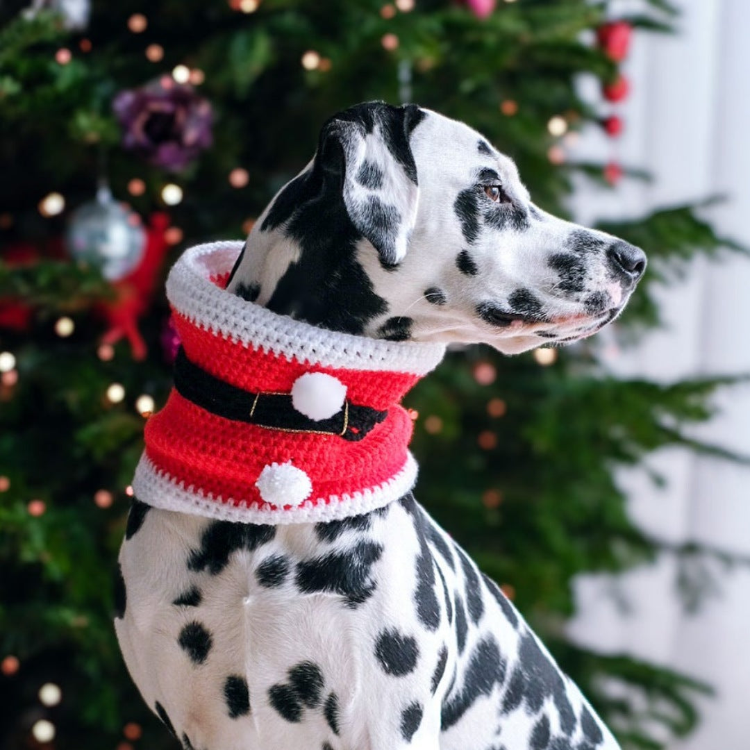 LivalaPip™ - Col sjaal Kerst - Santa