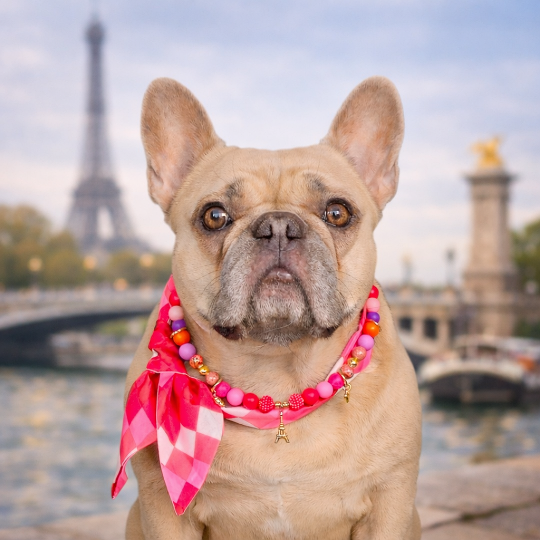 LivalaPip™ - Livalapip in Paris - ketting - Lizzy Parisienne
