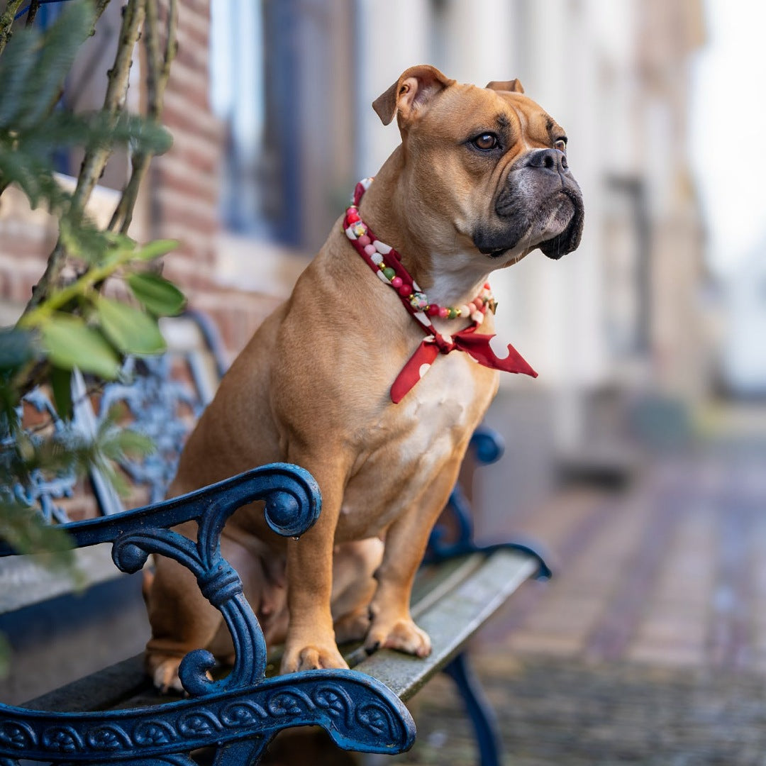 LivalaPip™ - Livalapip in Paris - ketting - Guusje Bonjour