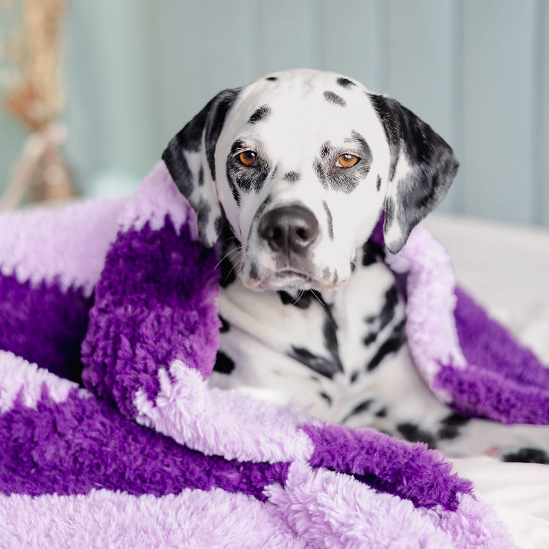 LivalaPip™ - Deken - Fluffy Paars Lila