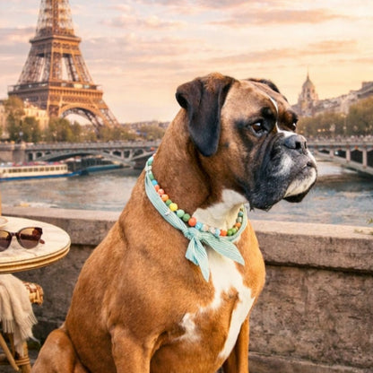 LivalaPip™ - Livalapip in Paris - ketting - Mick Saint-Honoré