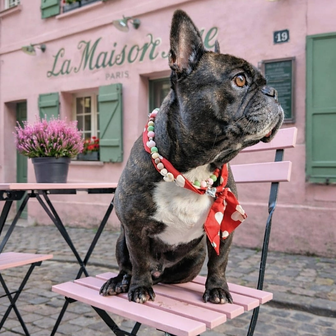 LivalaPip™ - LivalaPip in Paris - Ketting - Jagger Amour