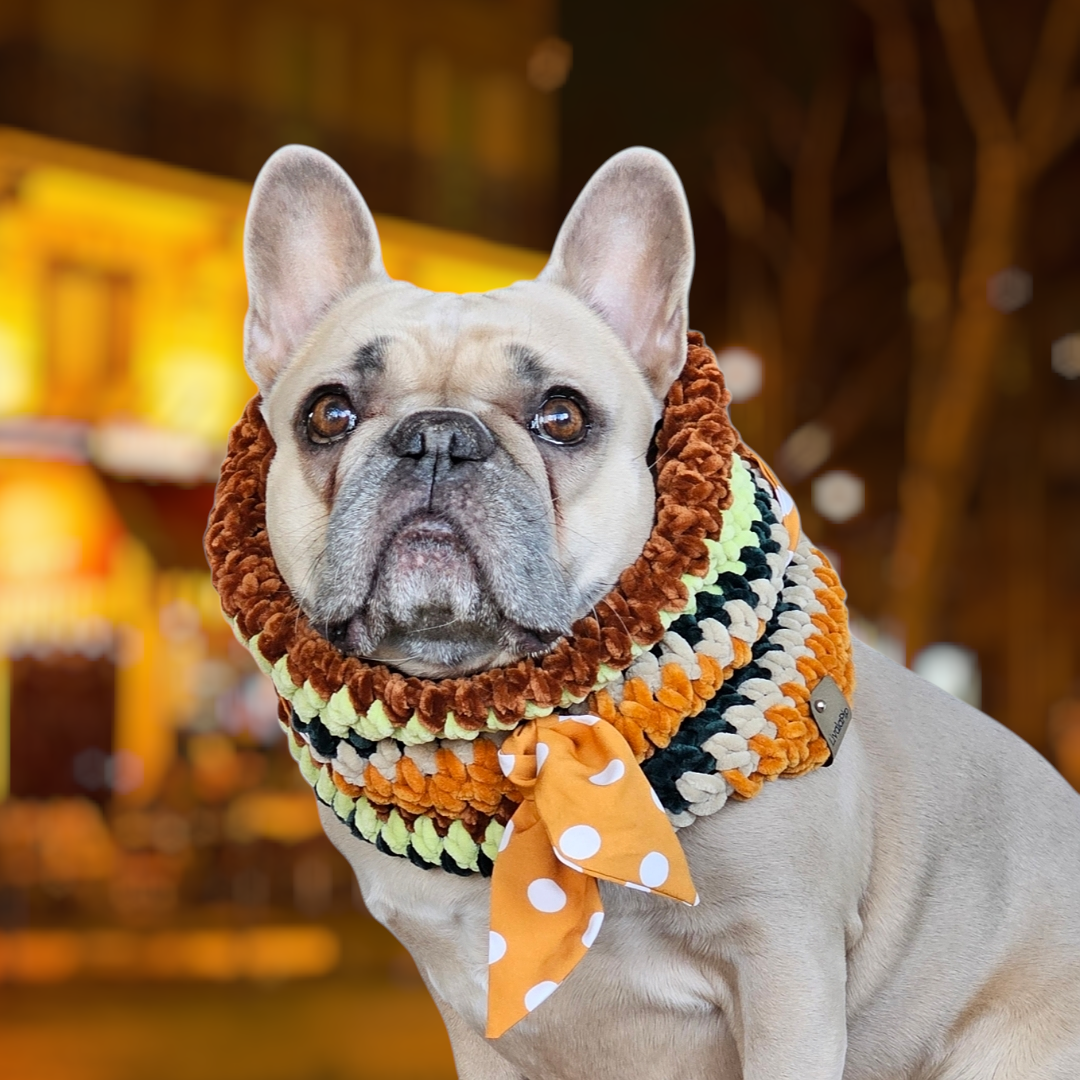 LivalaPip™ - Col sjaal - LivalaPip in Paris - L'Éclat d'Orange