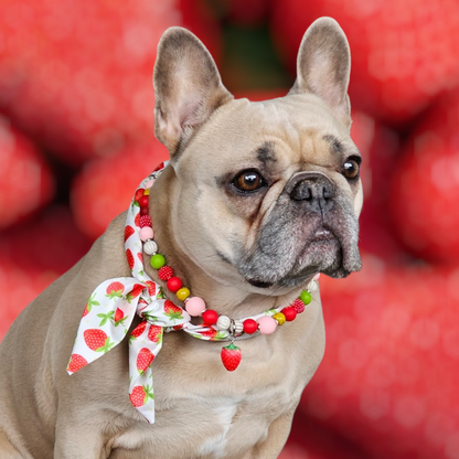LivalaPip™ - Bandana Ketting - Strawberry Sensation