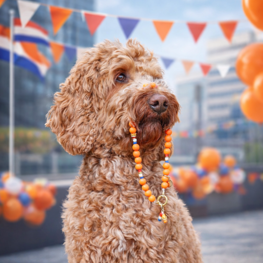 LivalaPip™ - Ketting - Royal Woof