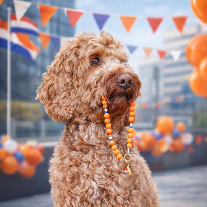 LivalaPip™ - Ketting - Royal Woof