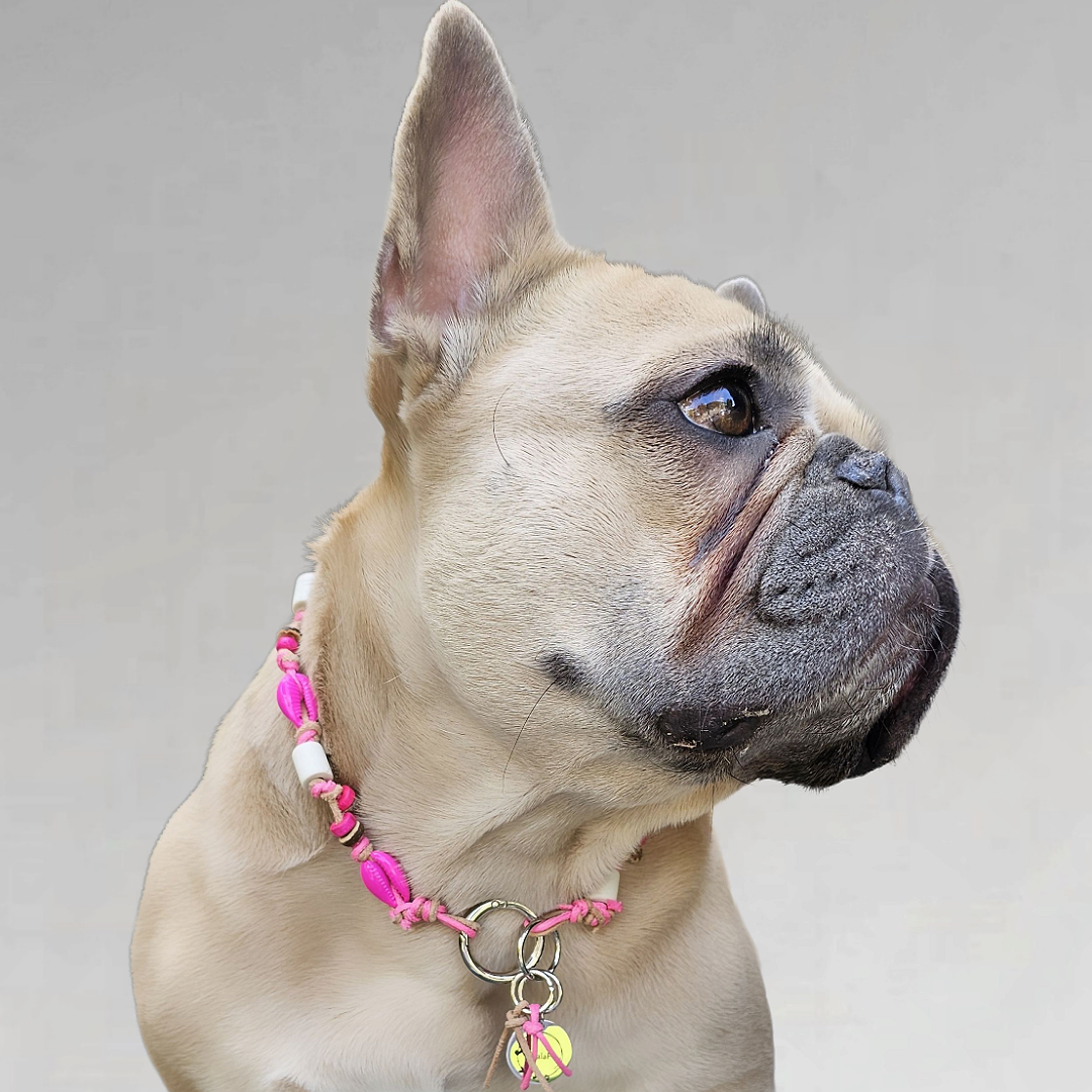 LivalaPip™ - Anti-tekenketting - Schelpen Neon Pink