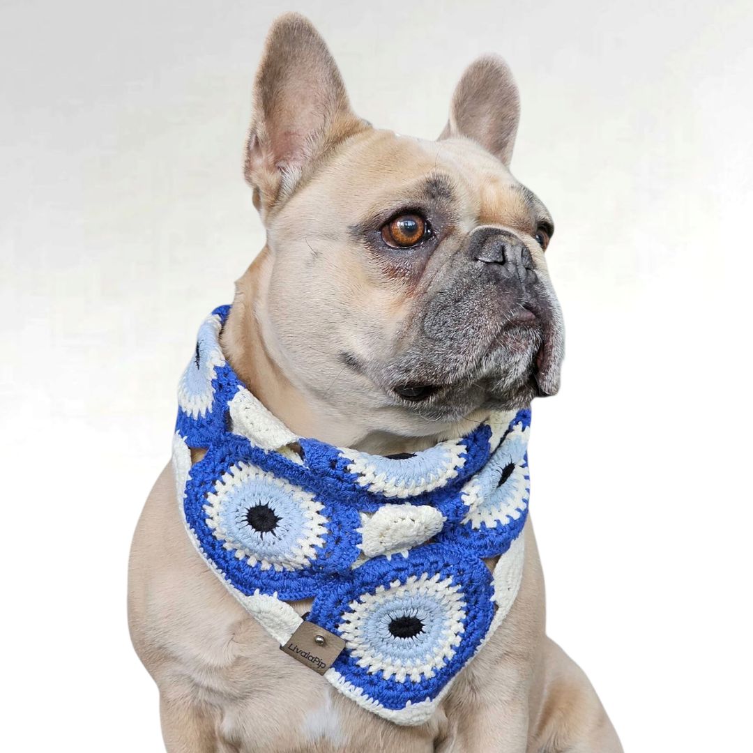 LivalaPip™ - Bandana - Evil Eye
