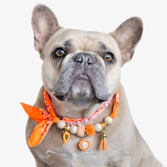 LivalaPip™ - Bandana Ketting - Ibiza Neon Orange