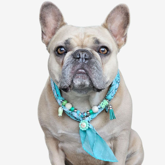 LivalaPip™ - Bandana Ketting - Ibiza Sealife