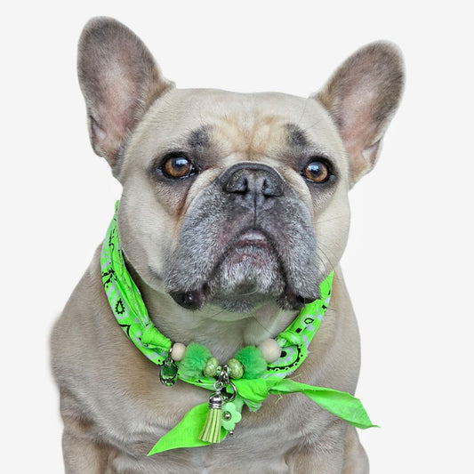 LivalaPip™ - Bandana Ketting - Ibiza Neon Green