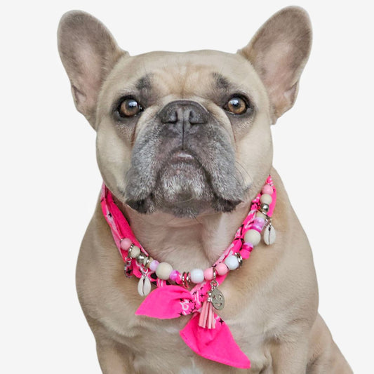 LivalaPip™ - Bandana Ketting - Ibiza Neon Pink
