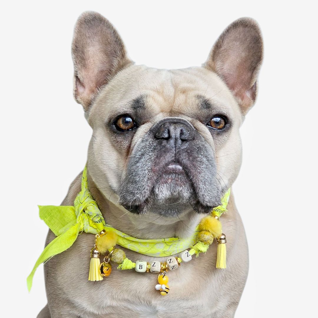 LivalaPip™ - Bandana Ketting - Ibiza  Neon Yellow