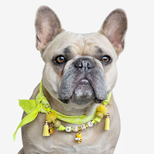 LivalaPip™ - Bandana Ketting - Ibiza  Neon Yellow