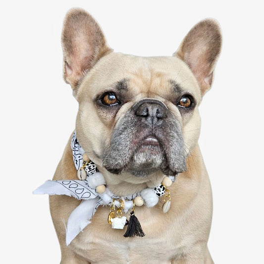 LivalaPip™ - Bandana Ketting - Ibiza White