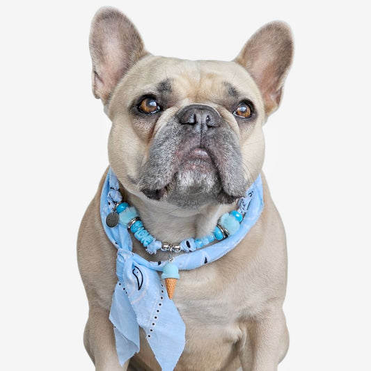 LivalaPip™ - Bandana Ketting - Ibiza Baby Blue