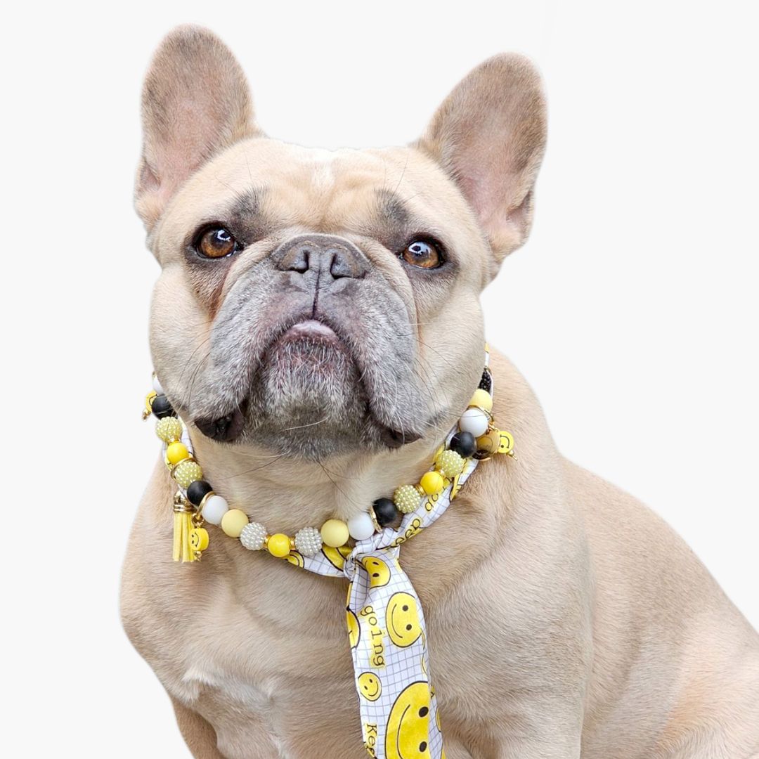 LivalaPip™ - Bandana Ketting - Smiley