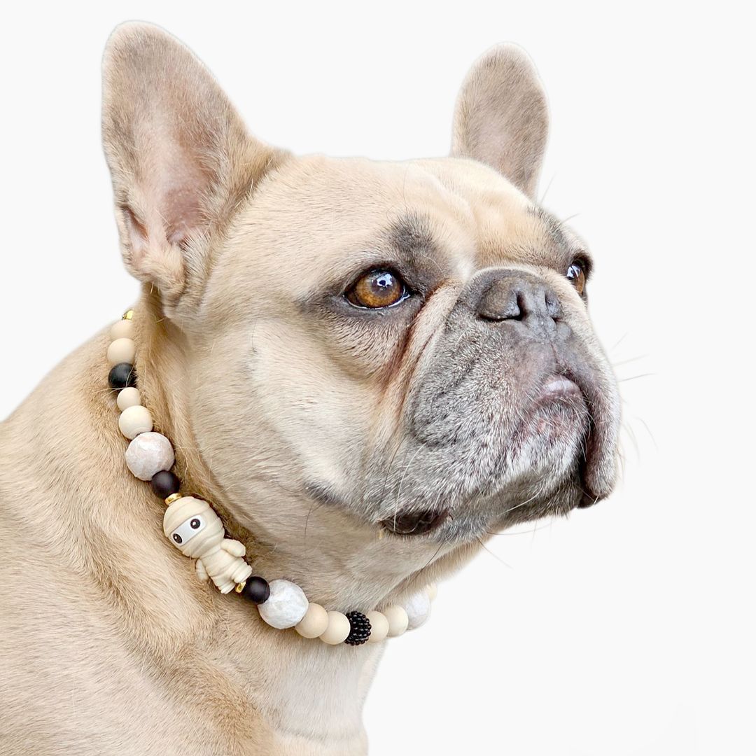 LivalaPip™ - Ketting - Halloween - Zombified