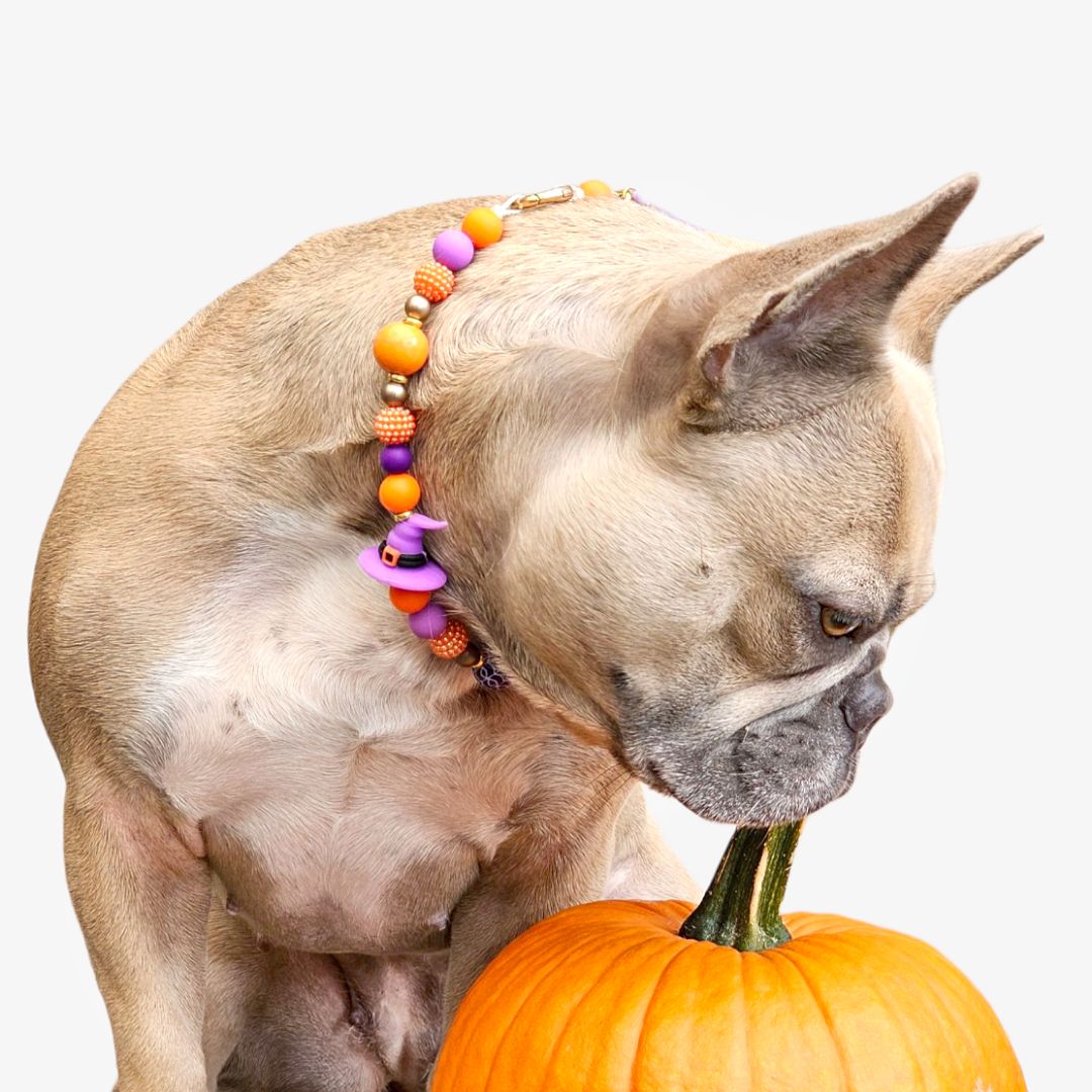 LivalaPip™ - Ketting - Halloween - Witch Harvest