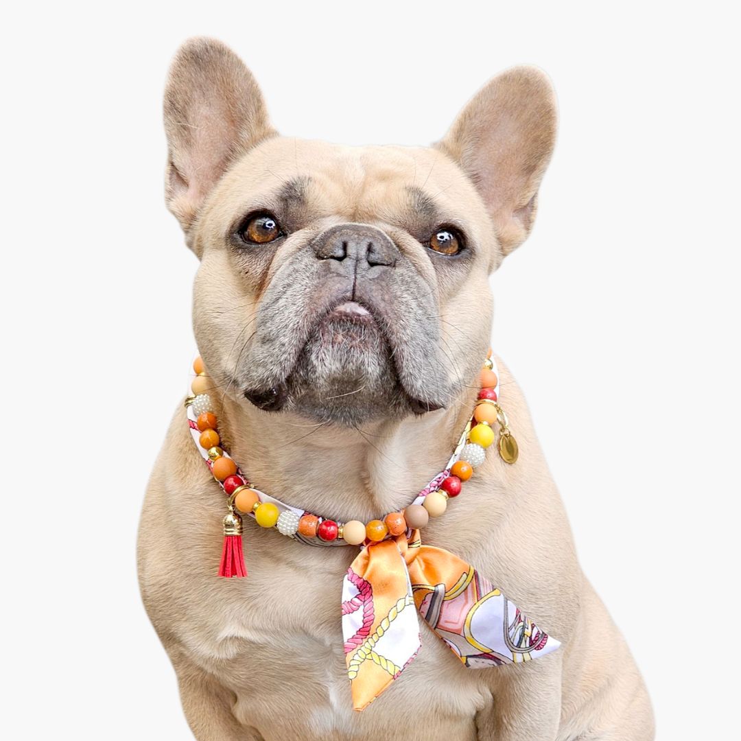LivalaPip™ - Bandana Ketting -Autumn Spice