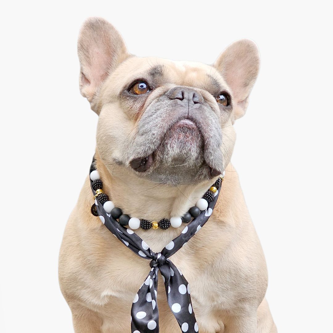 LivalaPip™ - Bandana Ketting - Polkadot