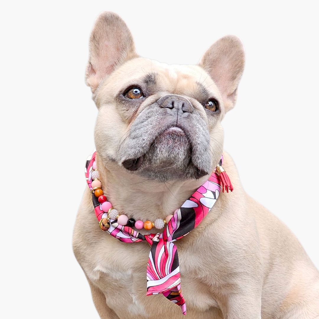 LivalaPip™ - Bandana Ketting -Gypsy Pink