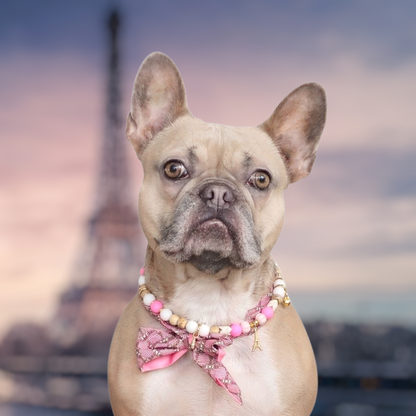 LivalaPip™ - Livalapip in Paris - ketting - Rosa Louvre