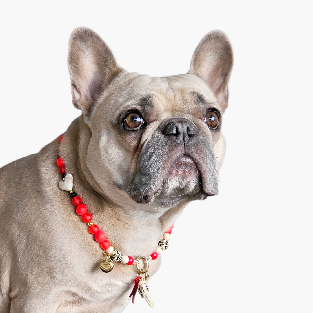 LivalaPip™ - Ketting  - Wild Love