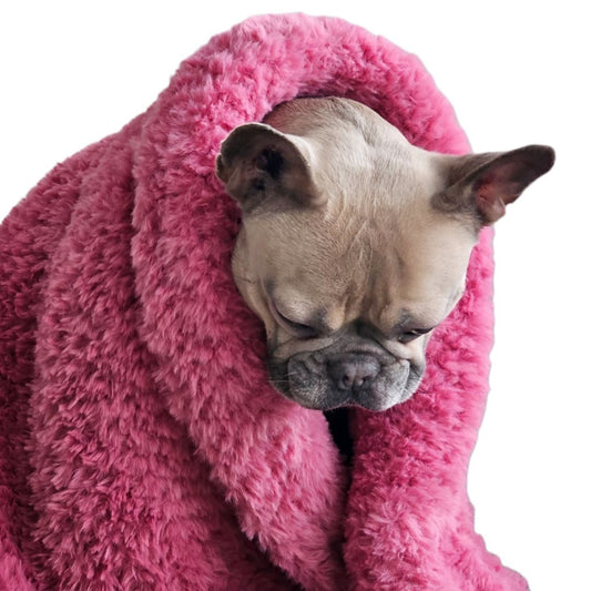 LivalaPip™ - Deken - Raspberry